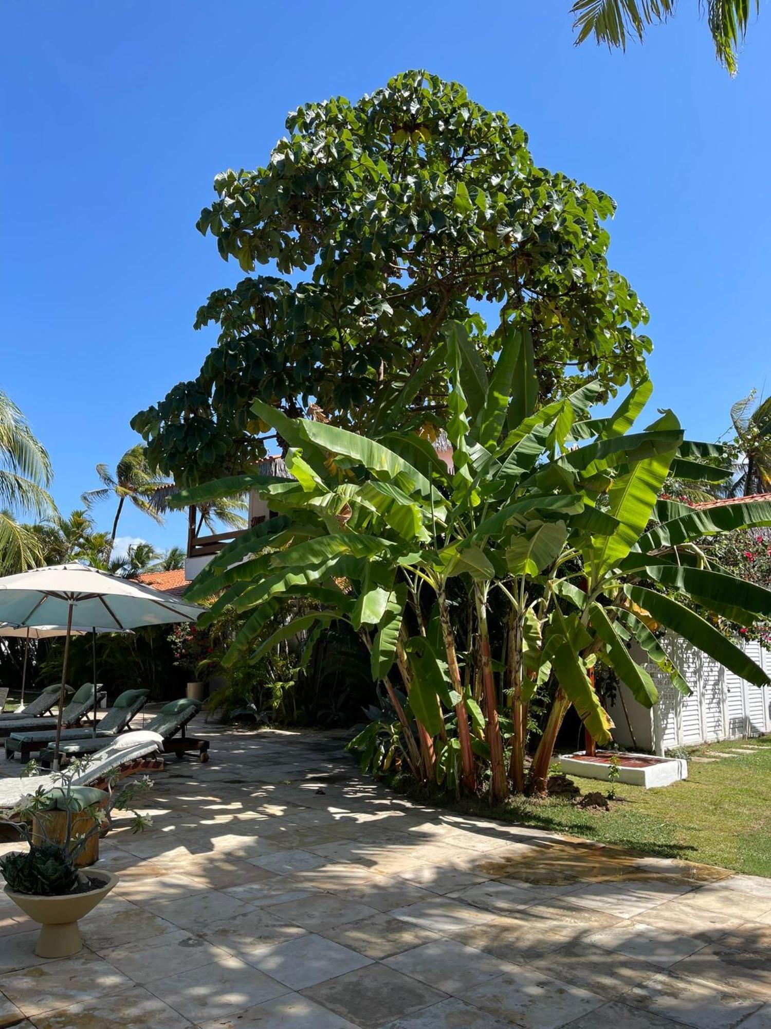 Controvento Boutique Hotel Cumbuco Extérieur photo