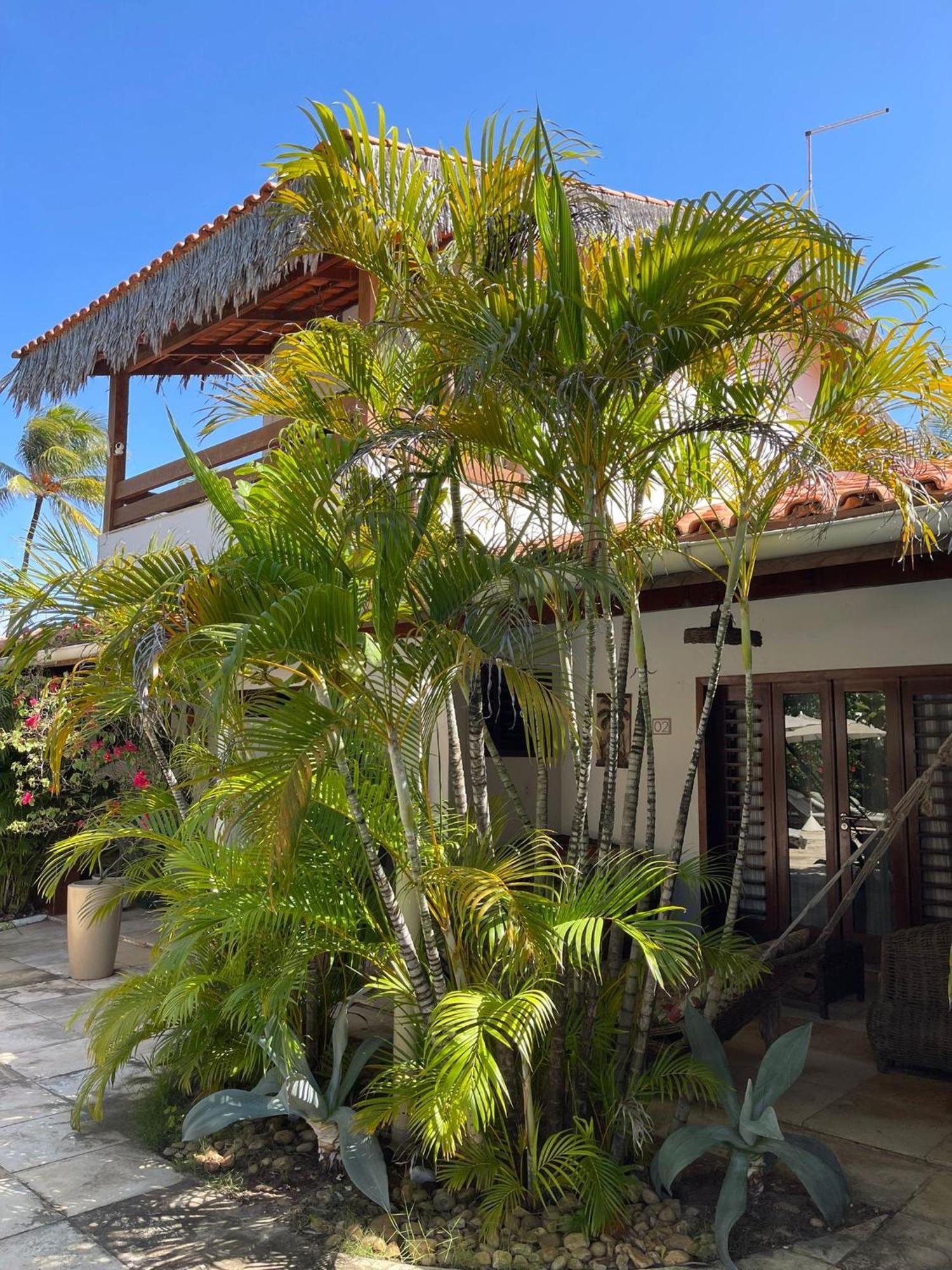 Controvento Boutique Hotel Cumbuco Extérieur photo